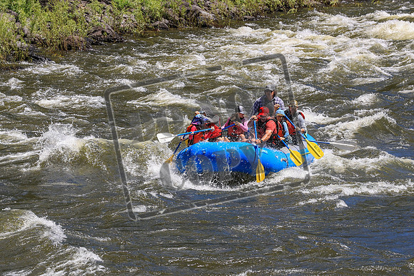 20260704-IMG_0519