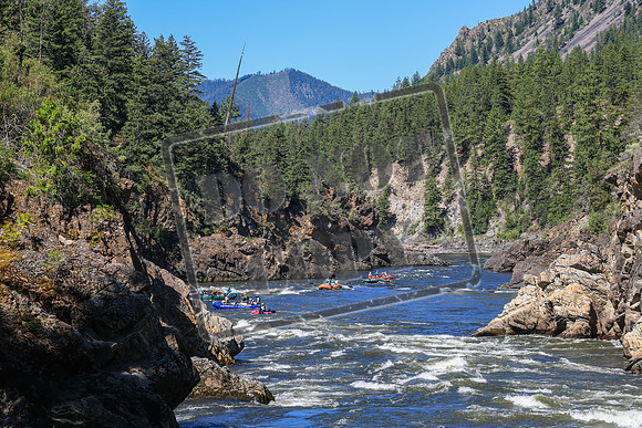 20260704-IMG_8809