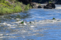 20260704-IMG_8942