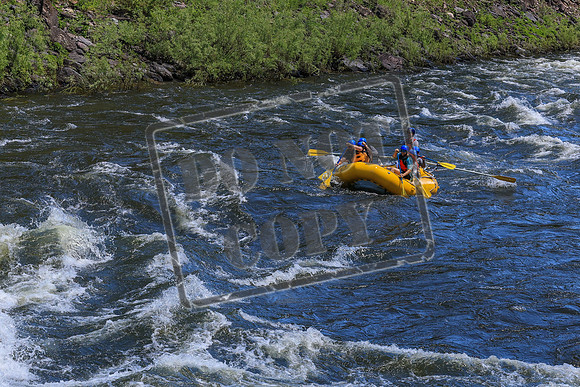 20260704-IMG_0181