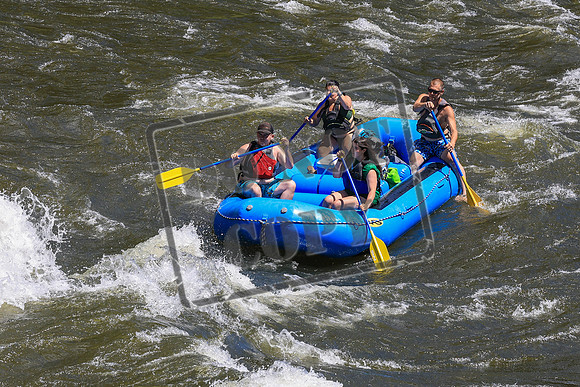 20260704-IMG_0563