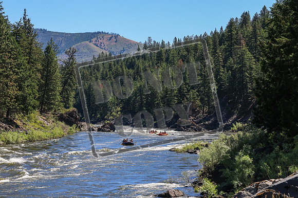 20260704-IMG_8994