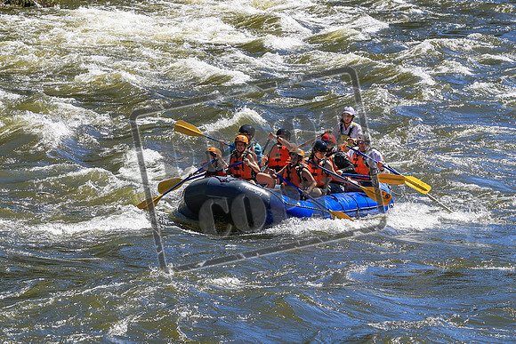 20260704-IMG_9003