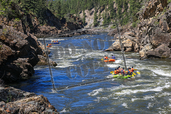 20260704-IMG_9097