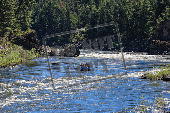 20260705-IMG_2176