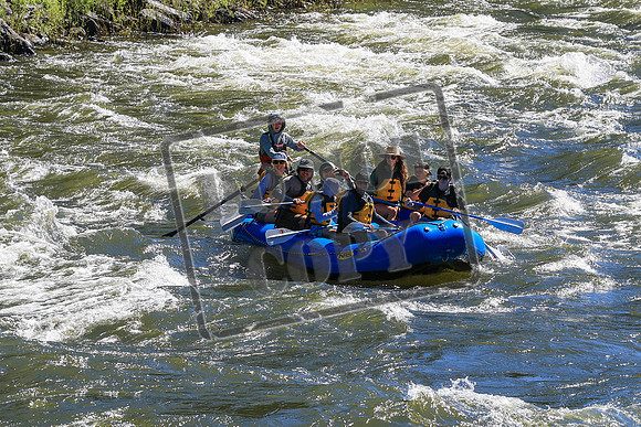 20260705-IMG_2179