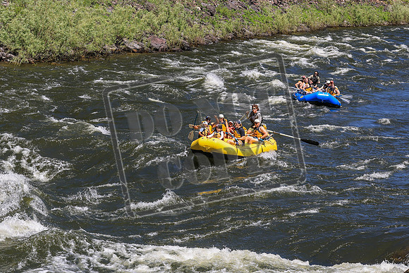 20260705-IMG_3673