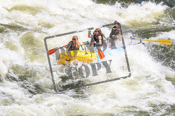20260705-IMG_2625