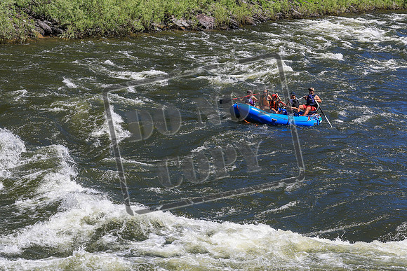 20260705-IMG_2710