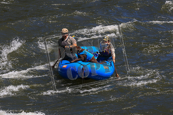20260705-IMG_3055