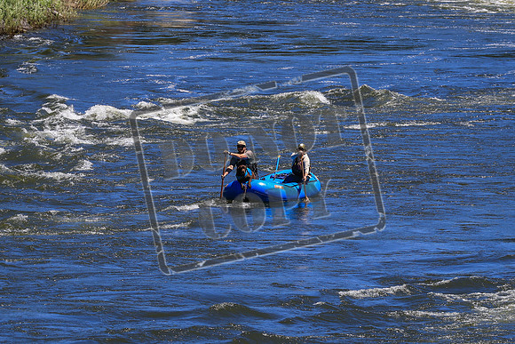 20260705-IMG_3048