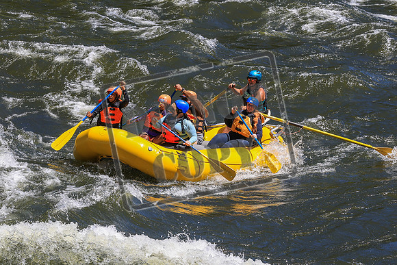 20260705-IMG_2817