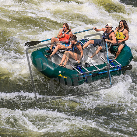 20260705-IMG_3916