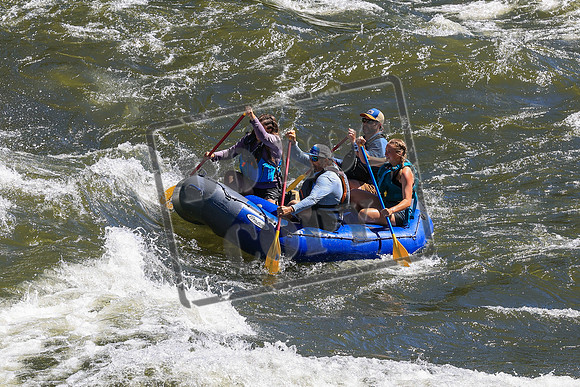 20260705-IMG_2337