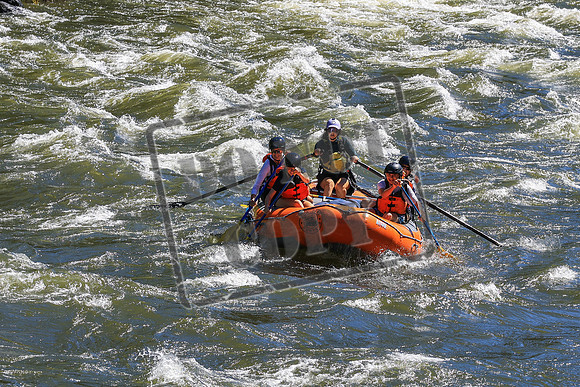 20260705-IMG_2297