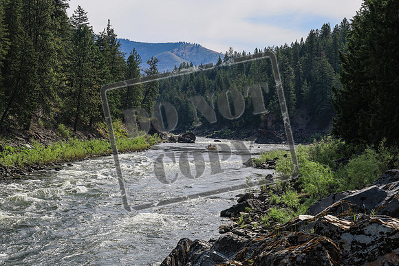 20260712-IMG_7013