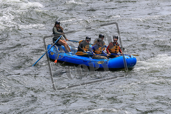20260713-IMG_0905