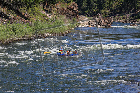 20260715-IMG_4036