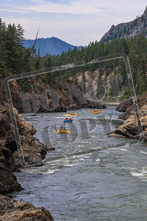20260717-IMG_7462