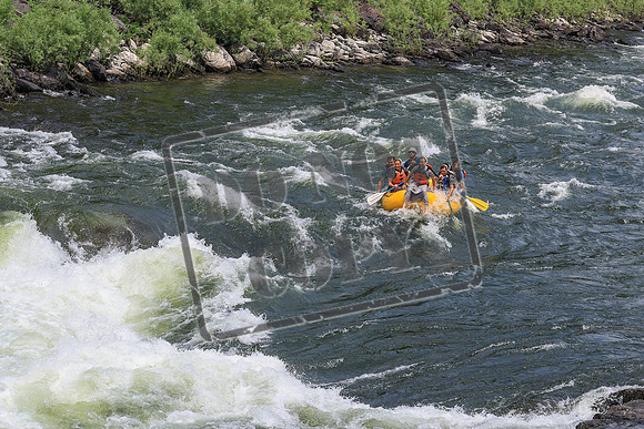 20260718-IMG_4023