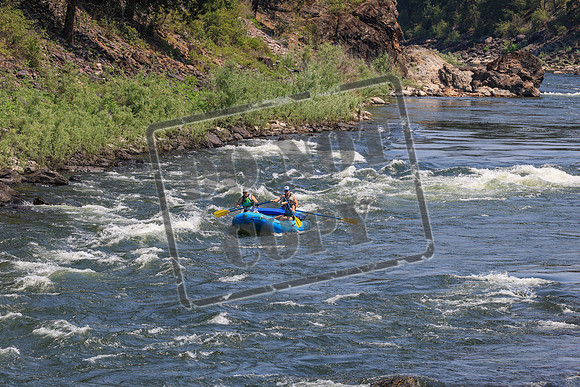 20260718-IMG_2947