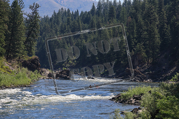 20260719-IMG_7603