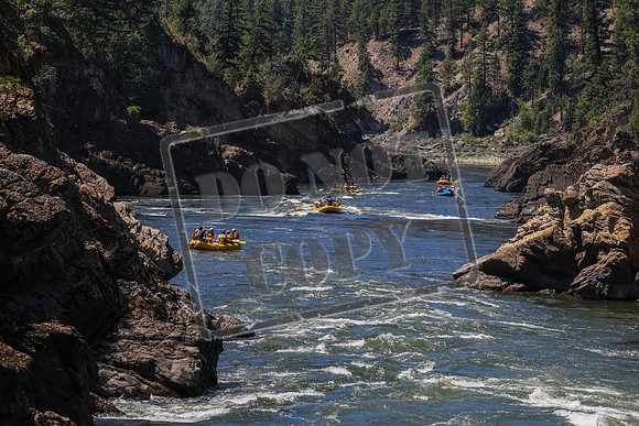 20260719-IMG_8748