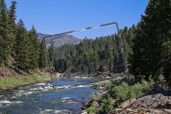 20260719-IMG_8549