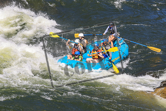 20260719-IMG_0863