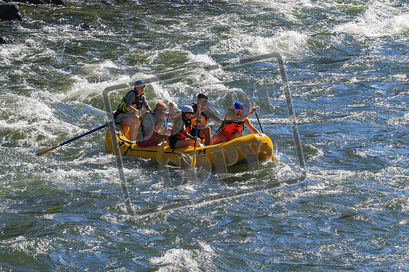 20260719-IMG_6877