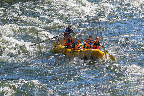 20260719-IMG_6961