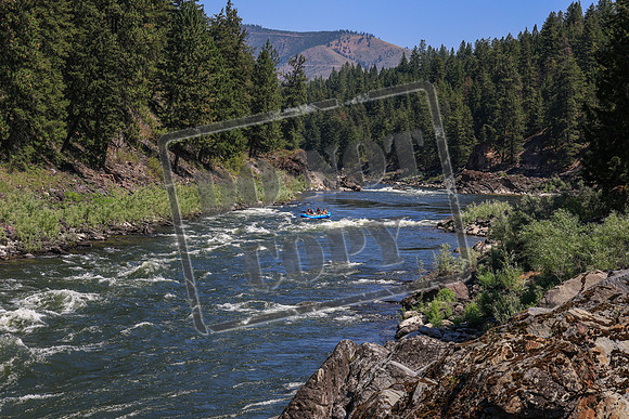 20260719-IMG_8707