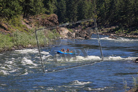 20260719-IMG_8706