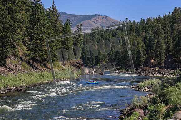 20260719-IMG_8705