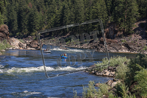 20260719-IMG_9588