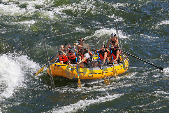 20260719-IMG_7902