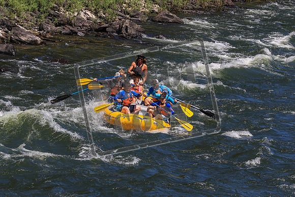 20260719-IMG_9918