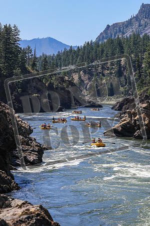 20260719-IMG_0143