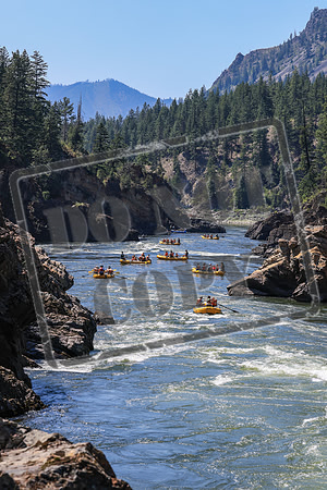 20260719-IMG_0146