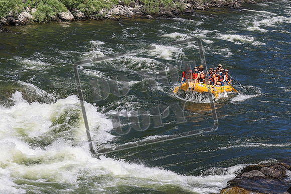 20260719-IMG_9949