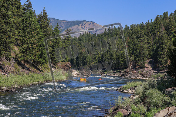 20260719-IMG_0409