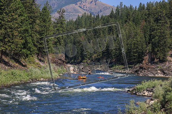 20260719-IMG_0410