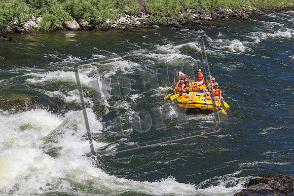 20260719-IMG_0415