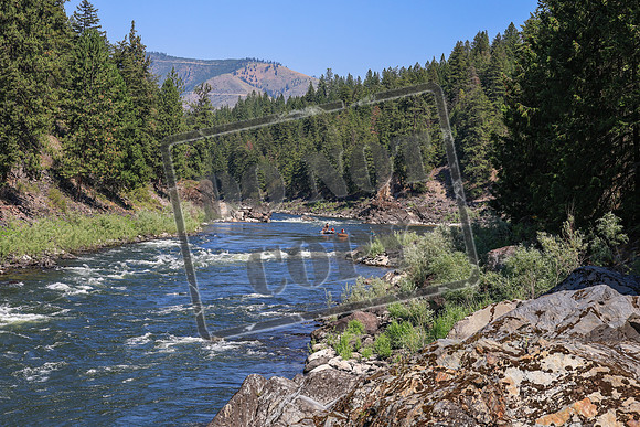 20260719-IMG_0521