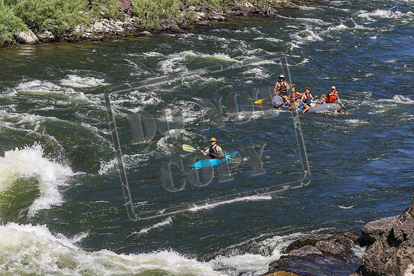 20260719-IMG_0539