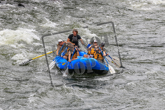 20260720-IMG_2729