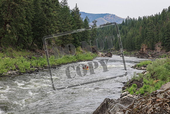 20260720-IMG_2790