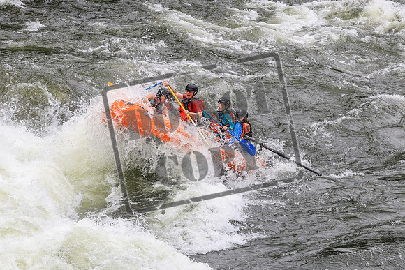 20260720-IMG_3133