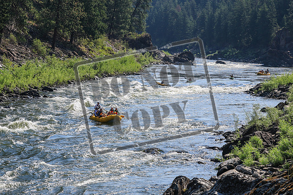 20260721-IMG_3503