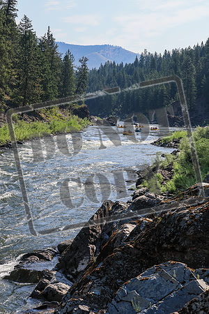 20260721-IMG_3657